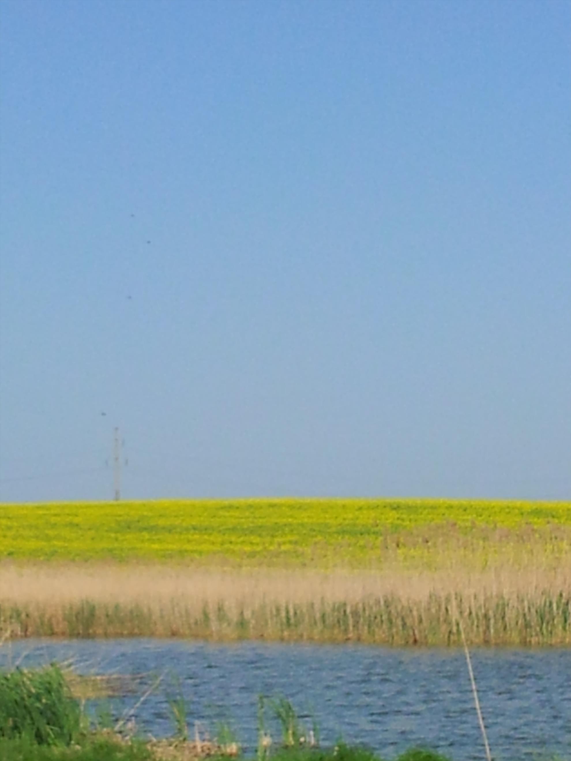 Poze pescuit 2013 - 20130427171740.jpg